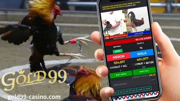 Gold99 Ang page na ito ay ginawa para sa mga bettors na interesado sa legal na pagtaya sa Sabong.