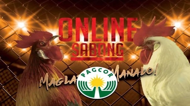 Gold99 online casino - online sabong